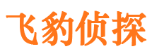 龙川寻人公司